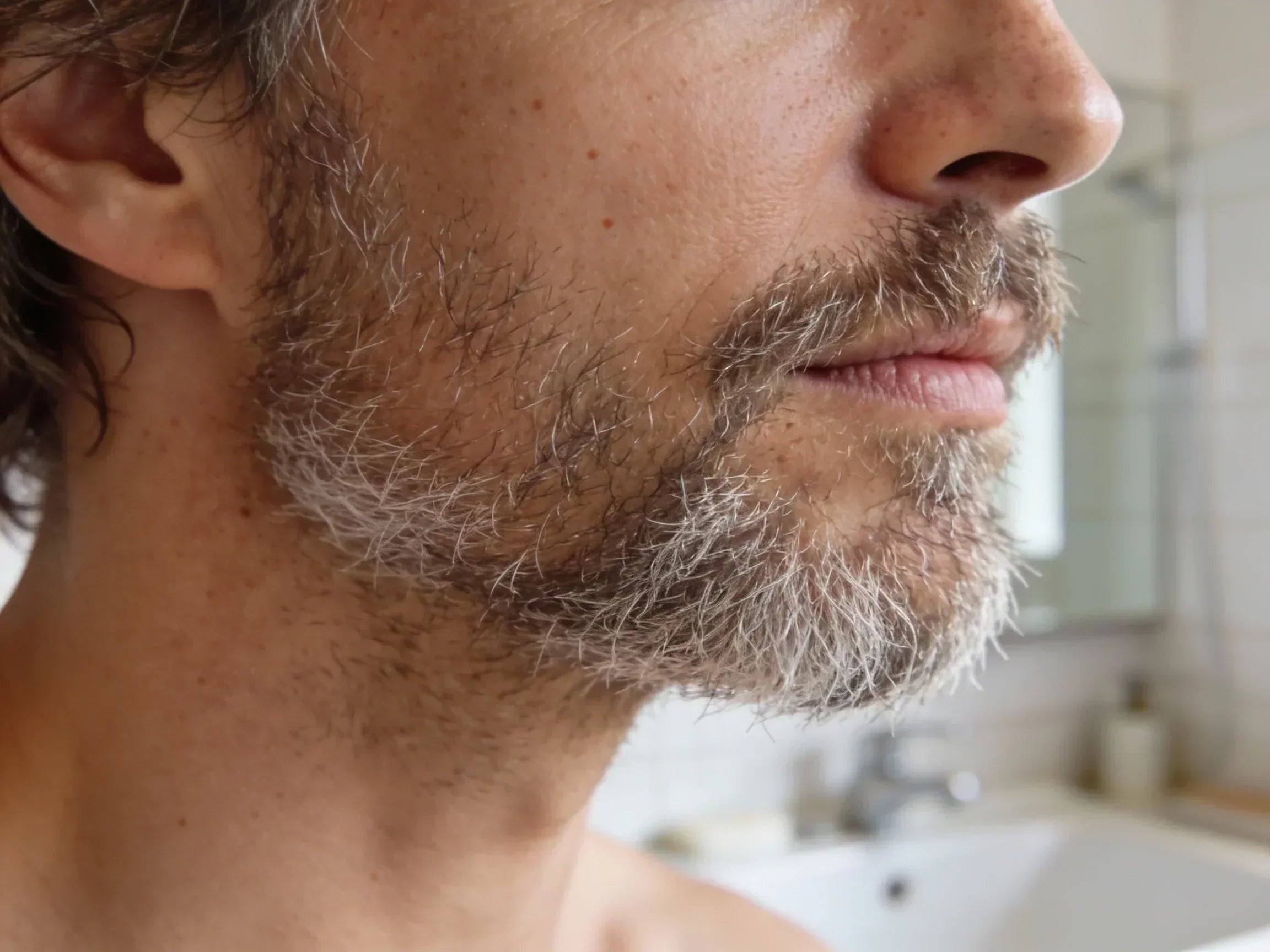 Bundlen partakerhon kevätvirret